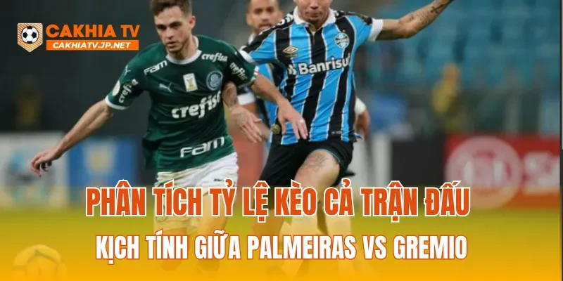 Phân tích tỷ lệ kèo cả trận đấu kịch tính giữa Palmeiras vs Gremio