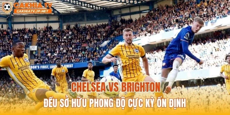 Chelsea vs Brighton đều sở hữu phong độ cực kỳ ổn định