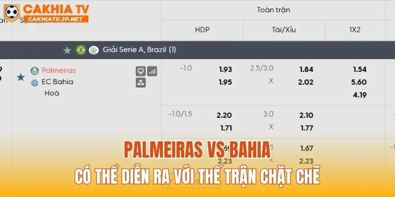 Palmeiras vs Bahia có thể diễn ra với thế trận chặt chẽ